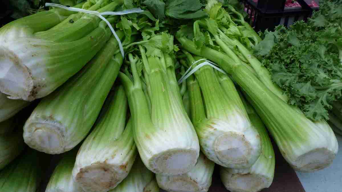 Acerca del apio, beneficios del apio, vitaminas que contiene