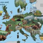 Verlies aan biodiversiteit bedreigde soorten in Europa (3)